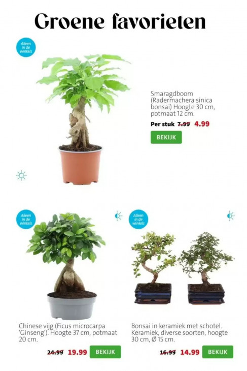 Intratuin Folder 09.03.2026