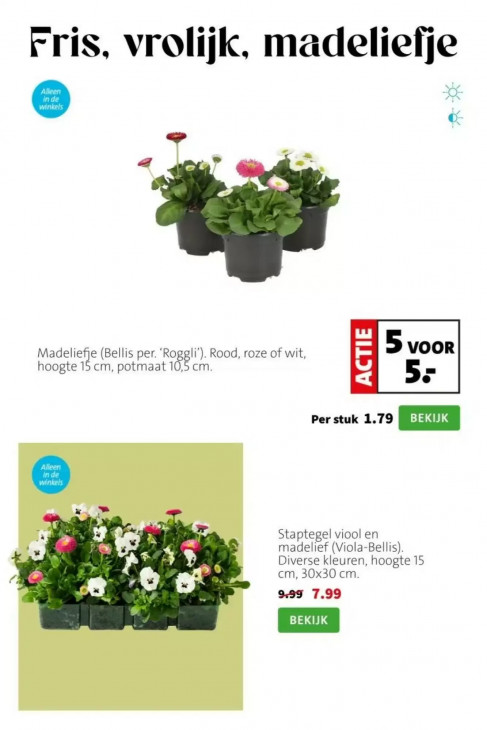 Intratuin Folder 09.03.2026