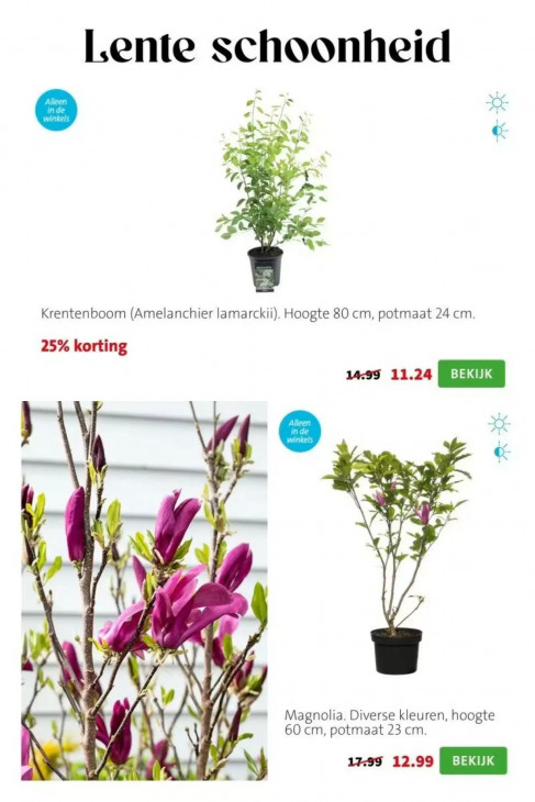 Intratuin Folder 09.03.2026