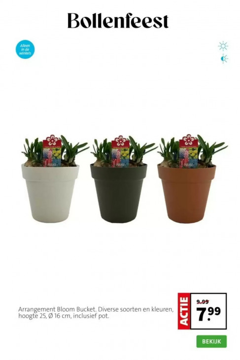 Intratuin Folder 09.03.2026