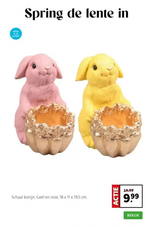 Intratuin Folder 09.03.2026