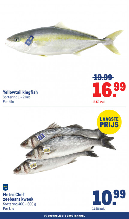 Makro Folder 11.03.2026