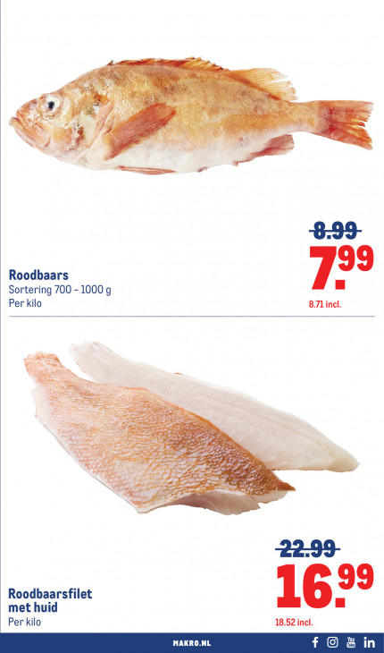 Makro Folder 11.03.2026