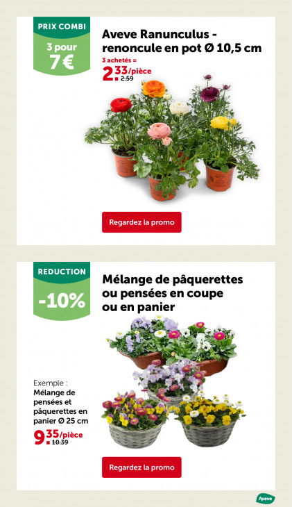 AVEVE Dépliant 11.03.2026