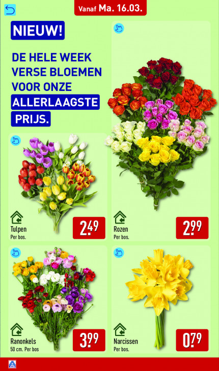 Aldi Folder 16.03.2026