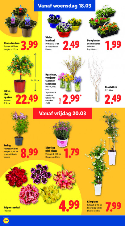 Lidl Folder 16.03.2026