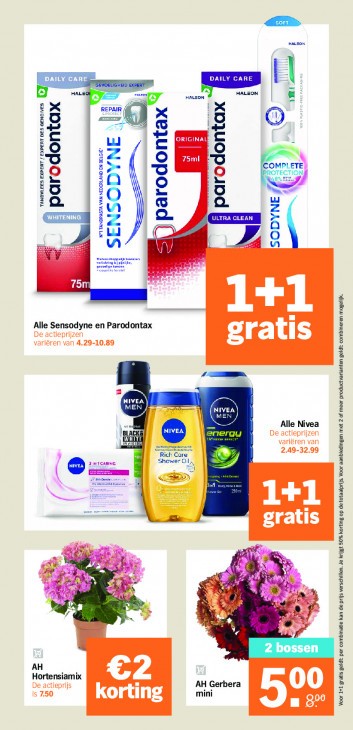 Albert Heijn Folder 16.03.2026