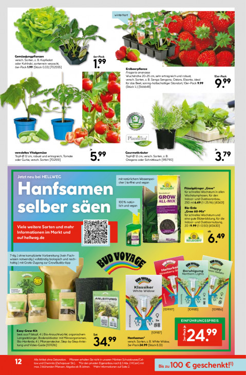 Hellweg Baumarkt Angebote ab 16.03.26 bis 21.03.26