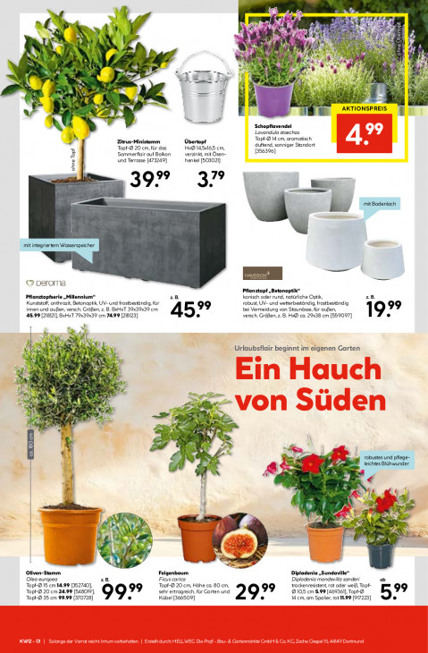 Hellweg Baumarkt Angebote ab 16.03.26 bis 21.03.26