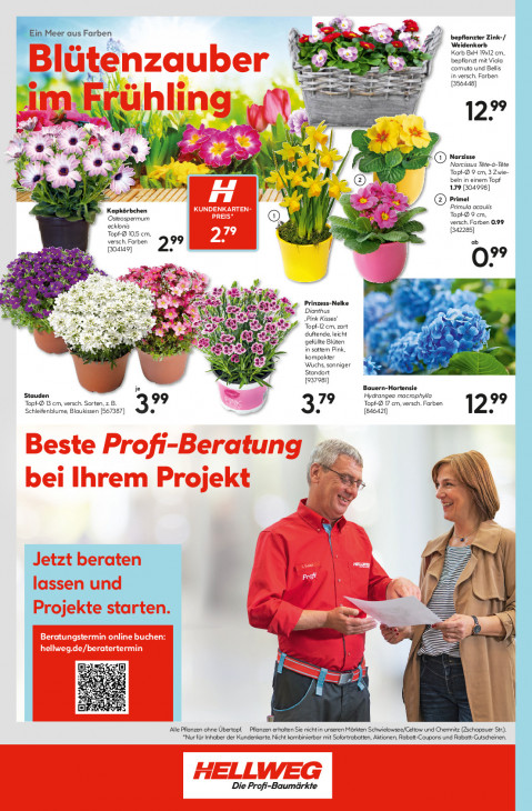 Hellweg Baumarkt Angebote ab 16.03.26 bis 21.03.26