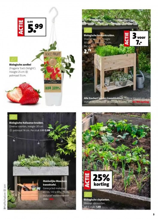 Intratuin Folder 16.03.2026