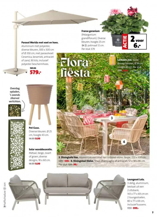 Intratuin Folder 16.03.2026