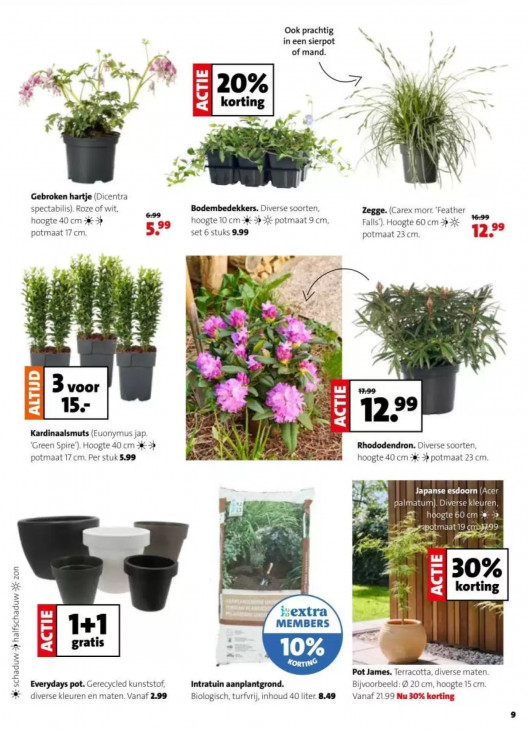 Intratuin Folder 16.03.2026