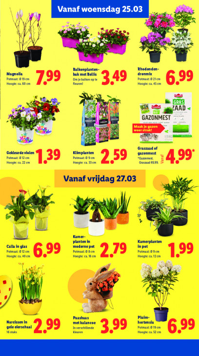 Lidl Folder 23.03.2026