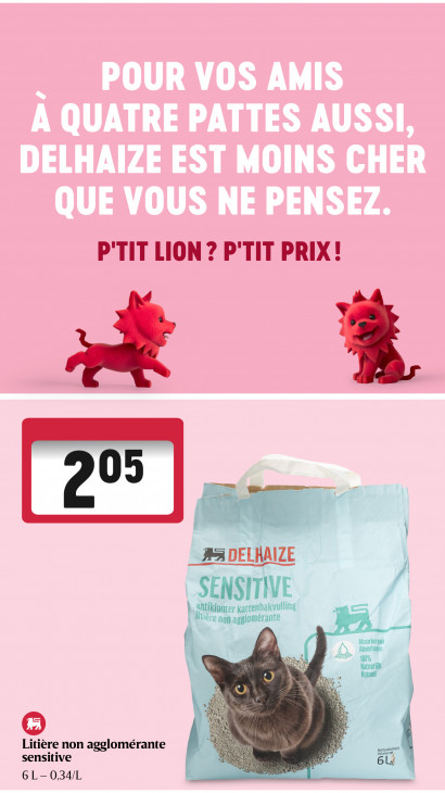 Delhaize Dépliant 19.03.2026