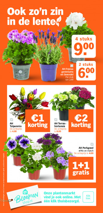 Albert Heijn Folder 23.03.2026