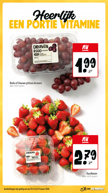 Jumbo Folder 25.03.2026