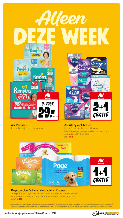 Jumbo Folder 25.03.2026