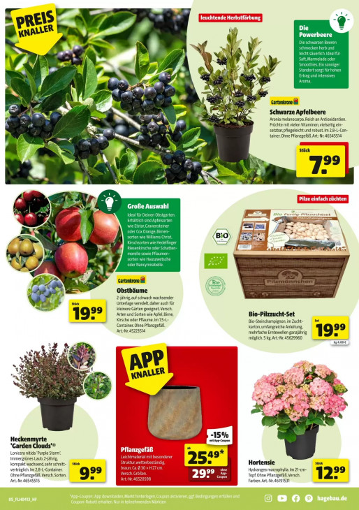 Hagebaumarkt - woche-12-ab-21-03-2026-bis-28-03-2026-seite-5-aorrd
