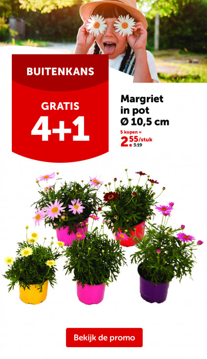 AVEVE Folder 25.03.2026