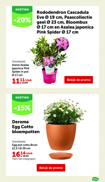 AVEVE Folder 25.03.2026