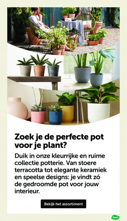 AVEVE Folder 25.03.2026