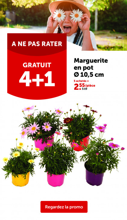 AVEVE Dépliant 25.03.2026