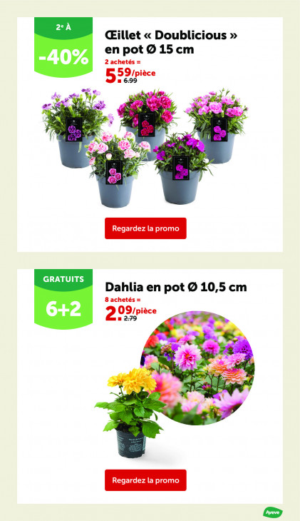 AVEVE Dépliant 25.03.2026