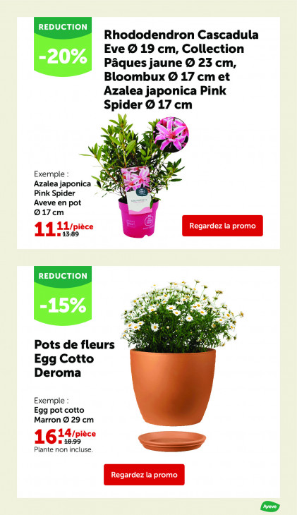 AVEVE Dépliant 25.03.2026