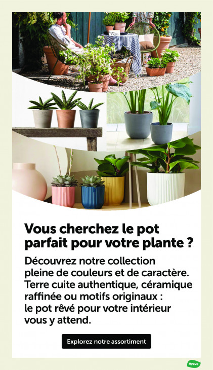 AVEVE Dépliant 25.03.2026