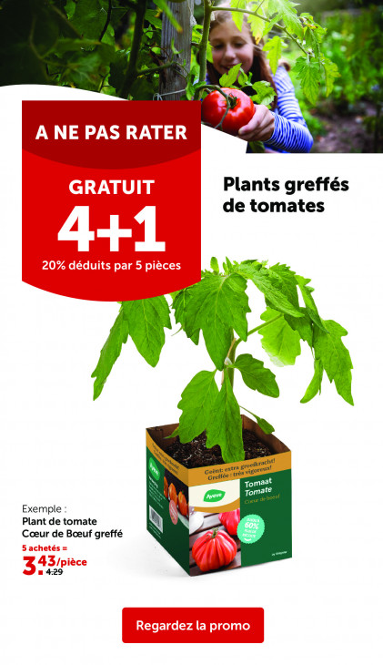 AVEVE Dépliant 25.03.2026