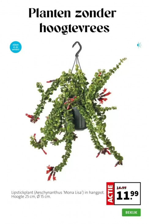 Intratuin Folder 23.03.2026