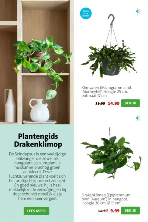 Intratuin Folder 23.03.2026