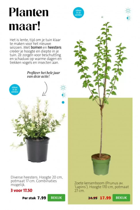 Intratuin Folder 23.03.2026