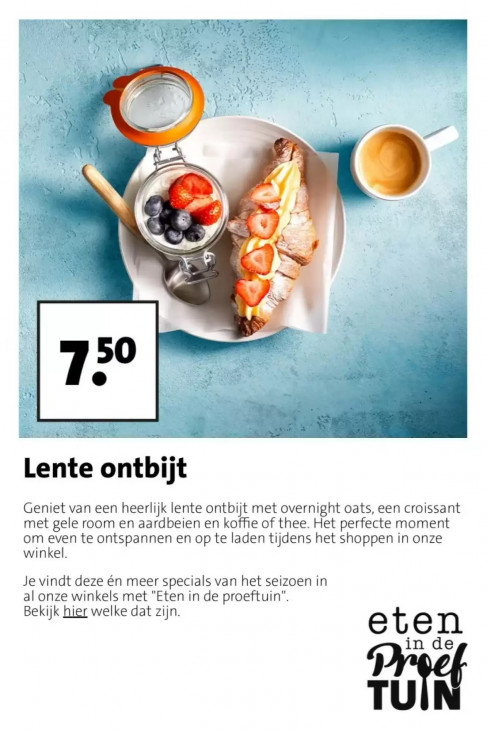 Intratuin Folder 23.03.2026