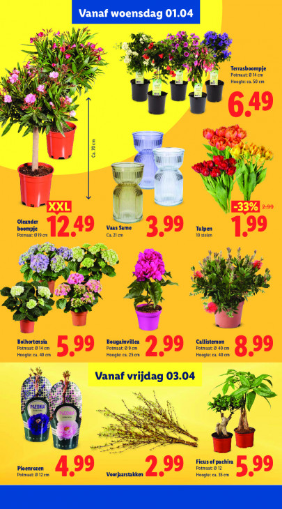 Lidl Folder 30.03.2026