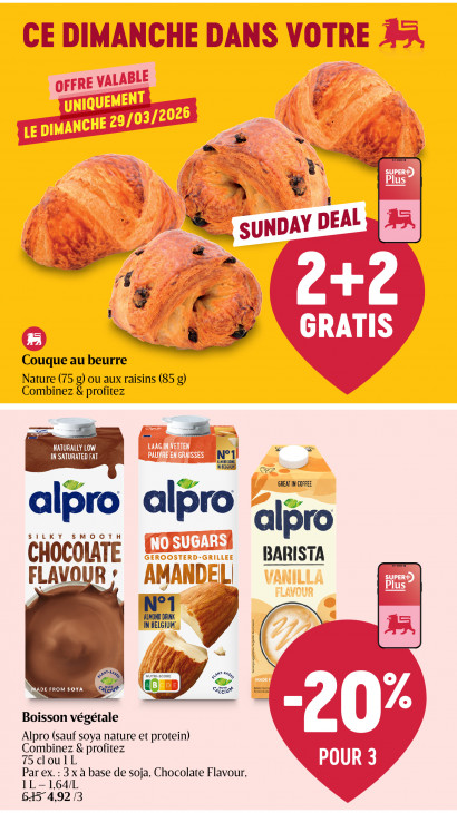 Delhaize Dépliant 26.03.2026