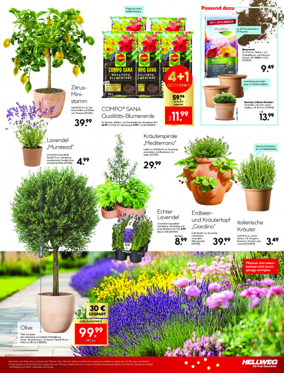 Hellweg Baumarkt Angebote ab 30.03.26 bis 04.04.26
