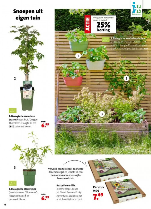 Intratuin Folder 30.03.2026