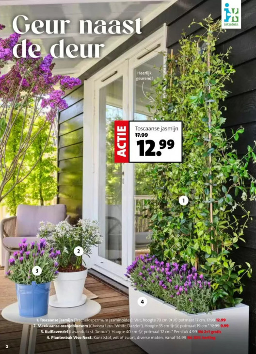 Intratuin Folder 30.03.2026