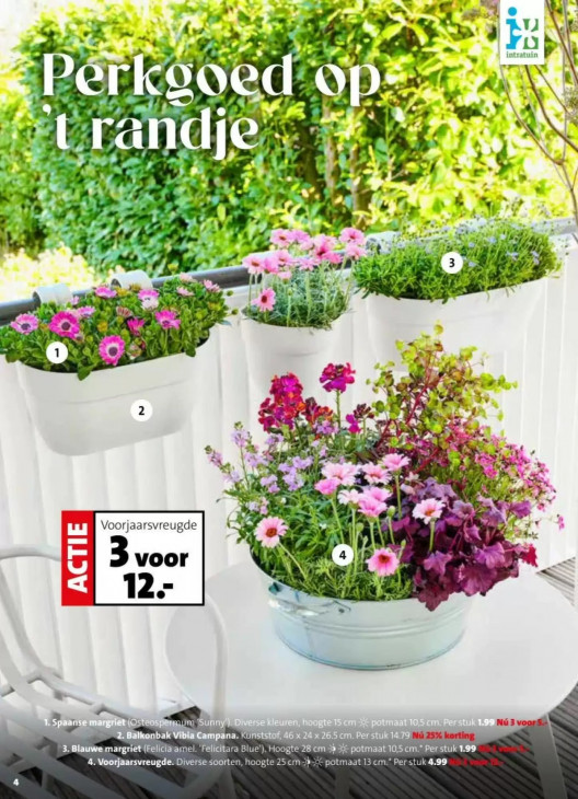 Intratuin Folder 30.03.2026