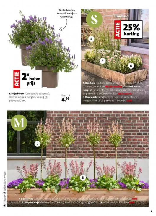 Intratuin Folder 30.03.2026