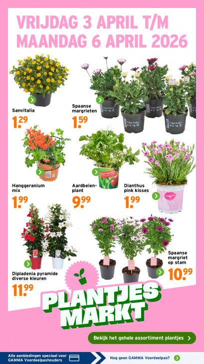 Gamma Folder 30.03.2026