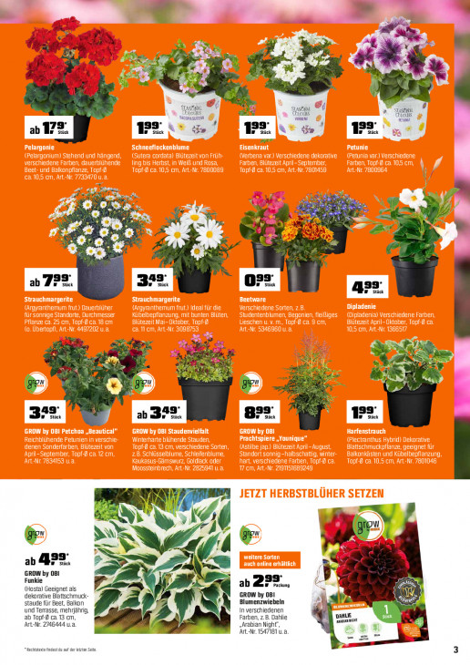OBI - woche-14-ab-01-04-2026-bis-30-04-2026-seite-3-dowjb