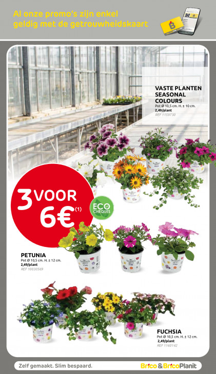 Brico Plan-it Folder 01.04.2026