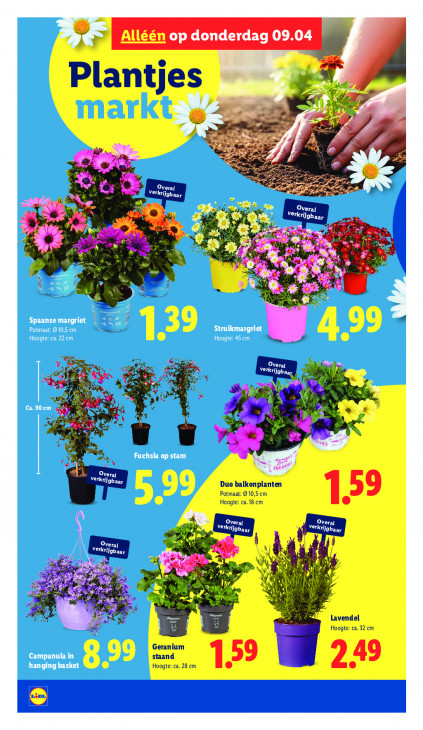 Lidl Folder 07.04.2026