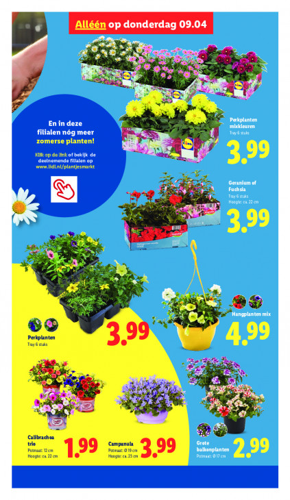 Lidl Folder 07.04.2026