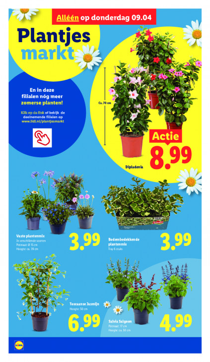 Lidl Folder 07.04.2026