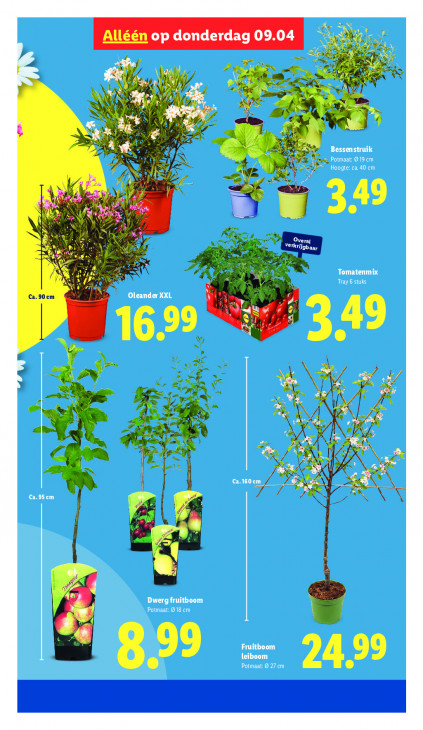 Lidl Folder 07.04.2026