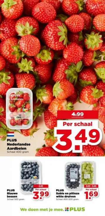 PLUS Folder 08.04.2026